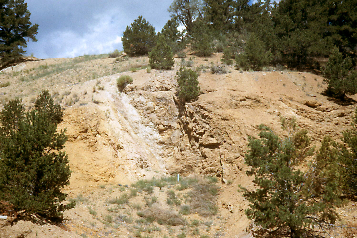 Pale fluorite vein cutting darker rock in the Browns Canyon fluorspar district, Colorado