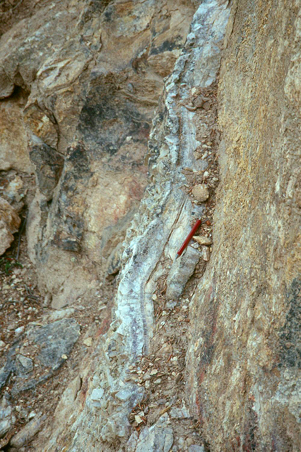 Real steep fluorite and barite vein at Wagon Wheel Gap, Colorado, with a red pen for scale