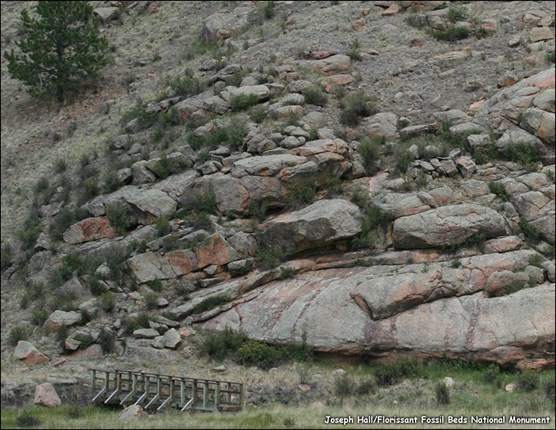 Real Pikes Peak Granite outcrop near Florissant Fossil Beds National Monument in Colorado