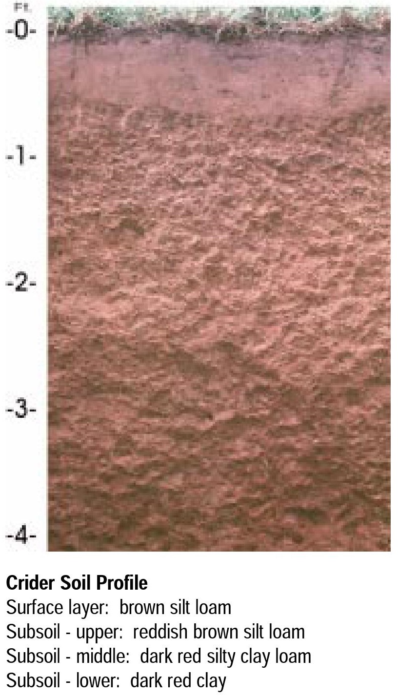 Real USDA NRCS soil monolith showing distinct surface, subsoil, and parent-material horizons